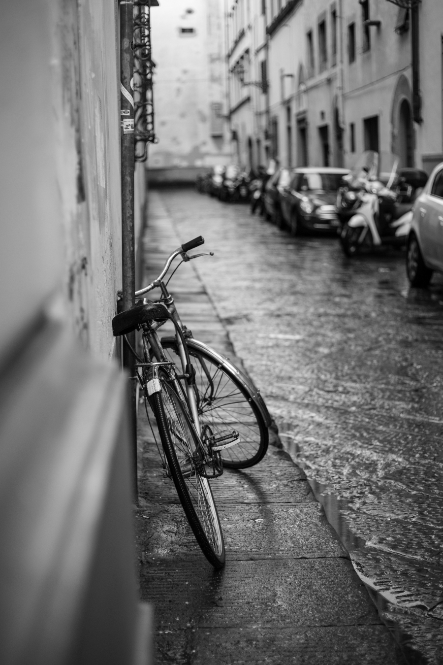 Le vélo 13